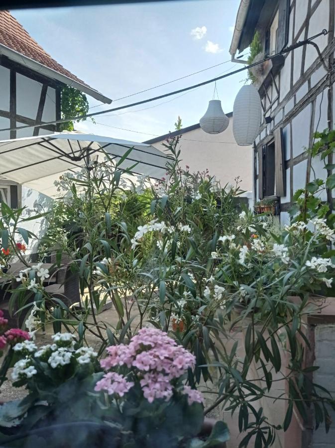 La Cigogne Doree Gite De Charme 4 Etoiles Schiltigheim Exterior foto
